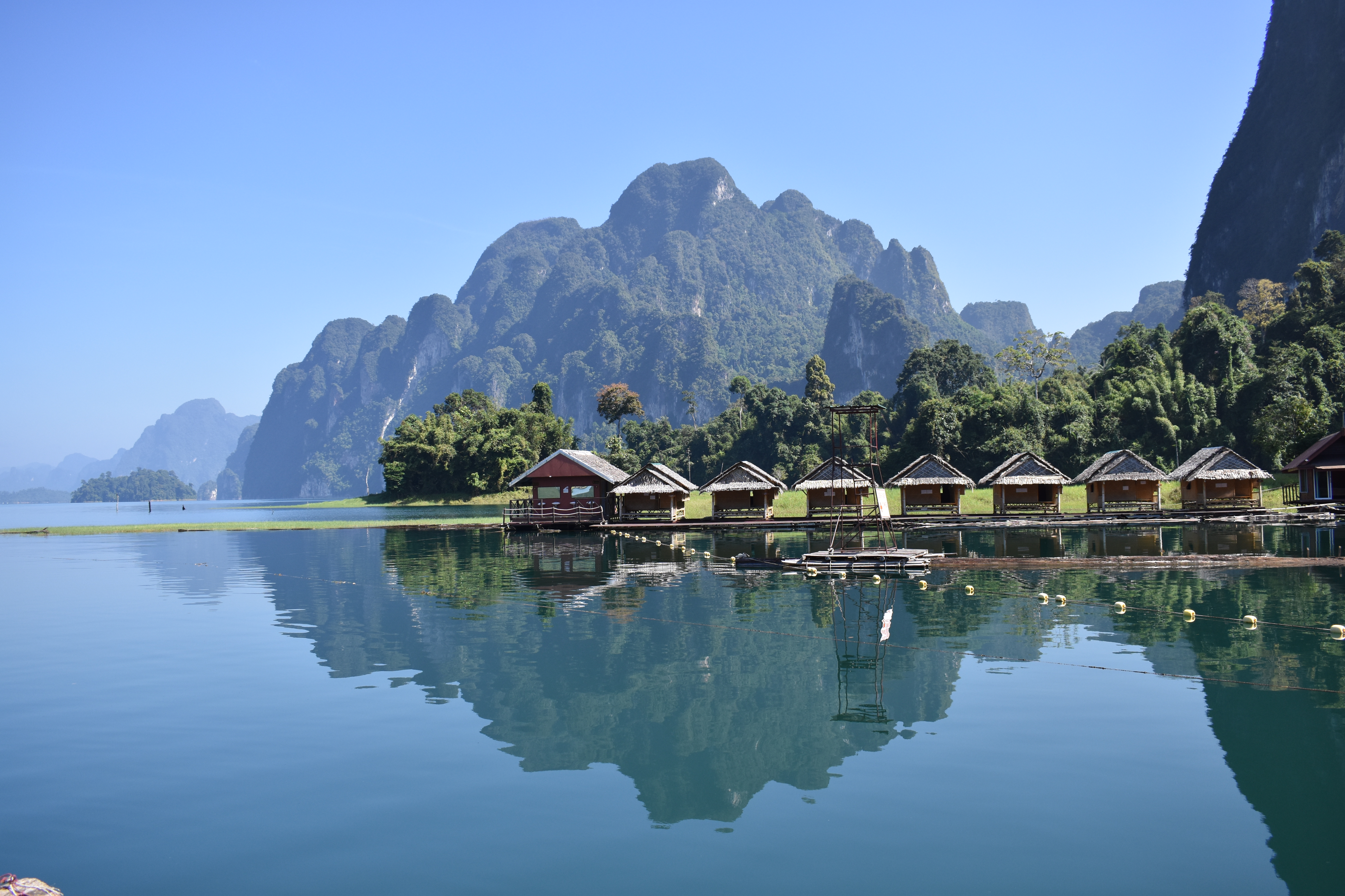 นกเงือกเกาะกิ่ง